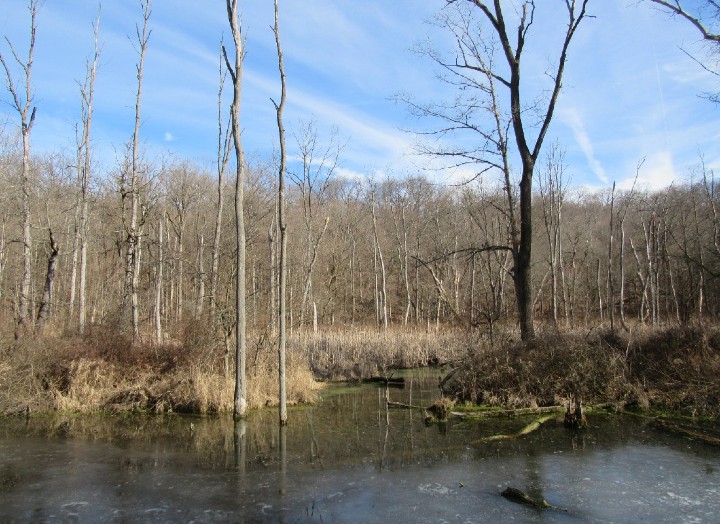 Cuyahoga Valley National Park